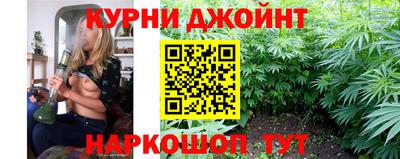 гашик Кимры