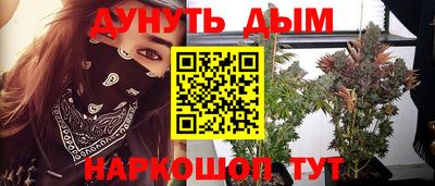 гашик Кимры
