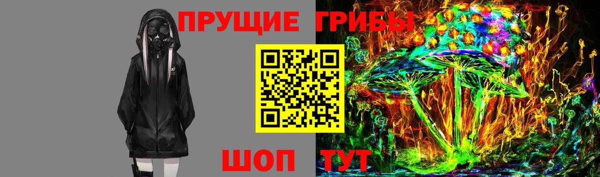 Коркино  Галлюциногенные грибы Magic Shrooms  купить наркотик  Вход с VPN 